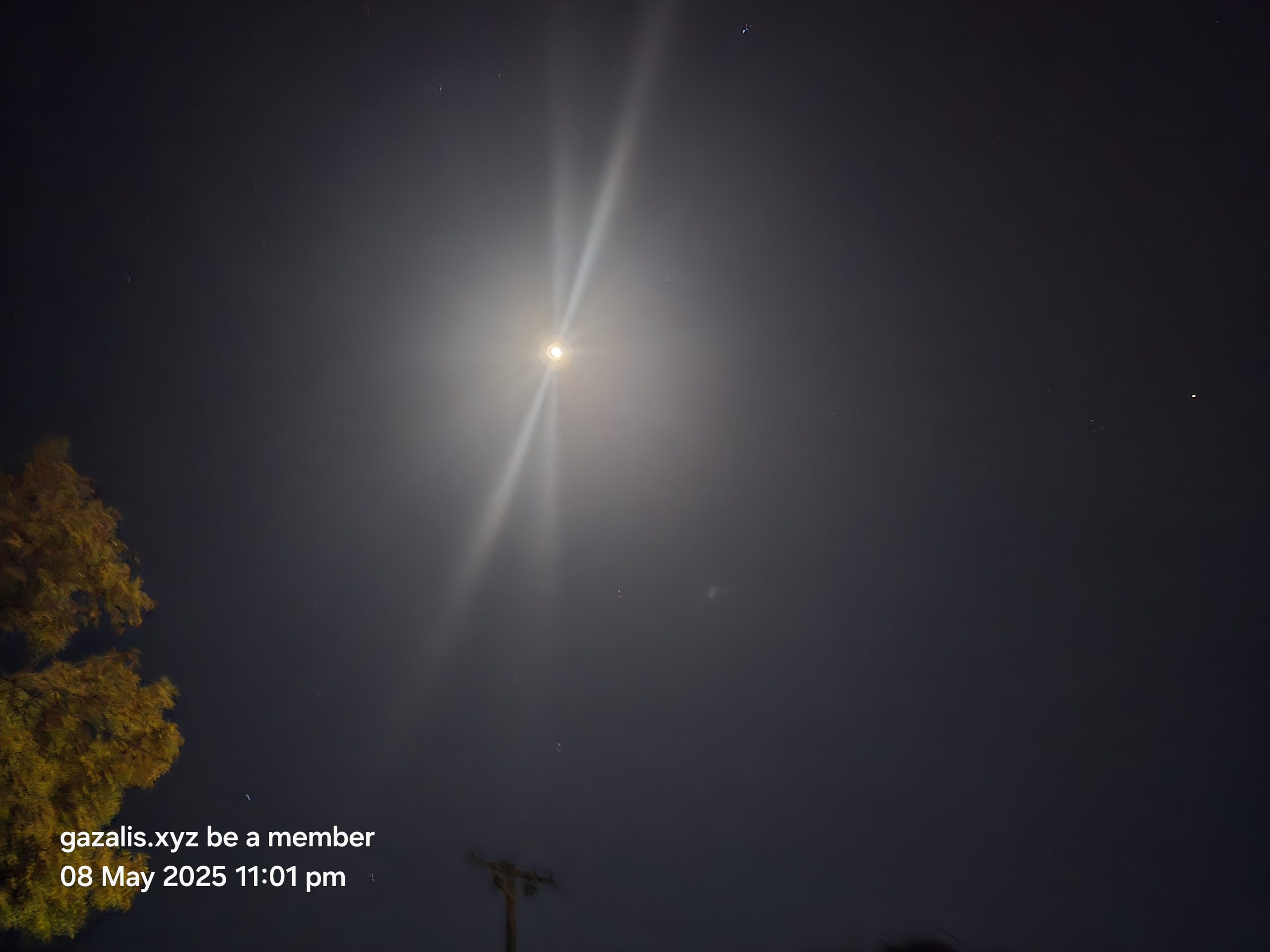 The moon