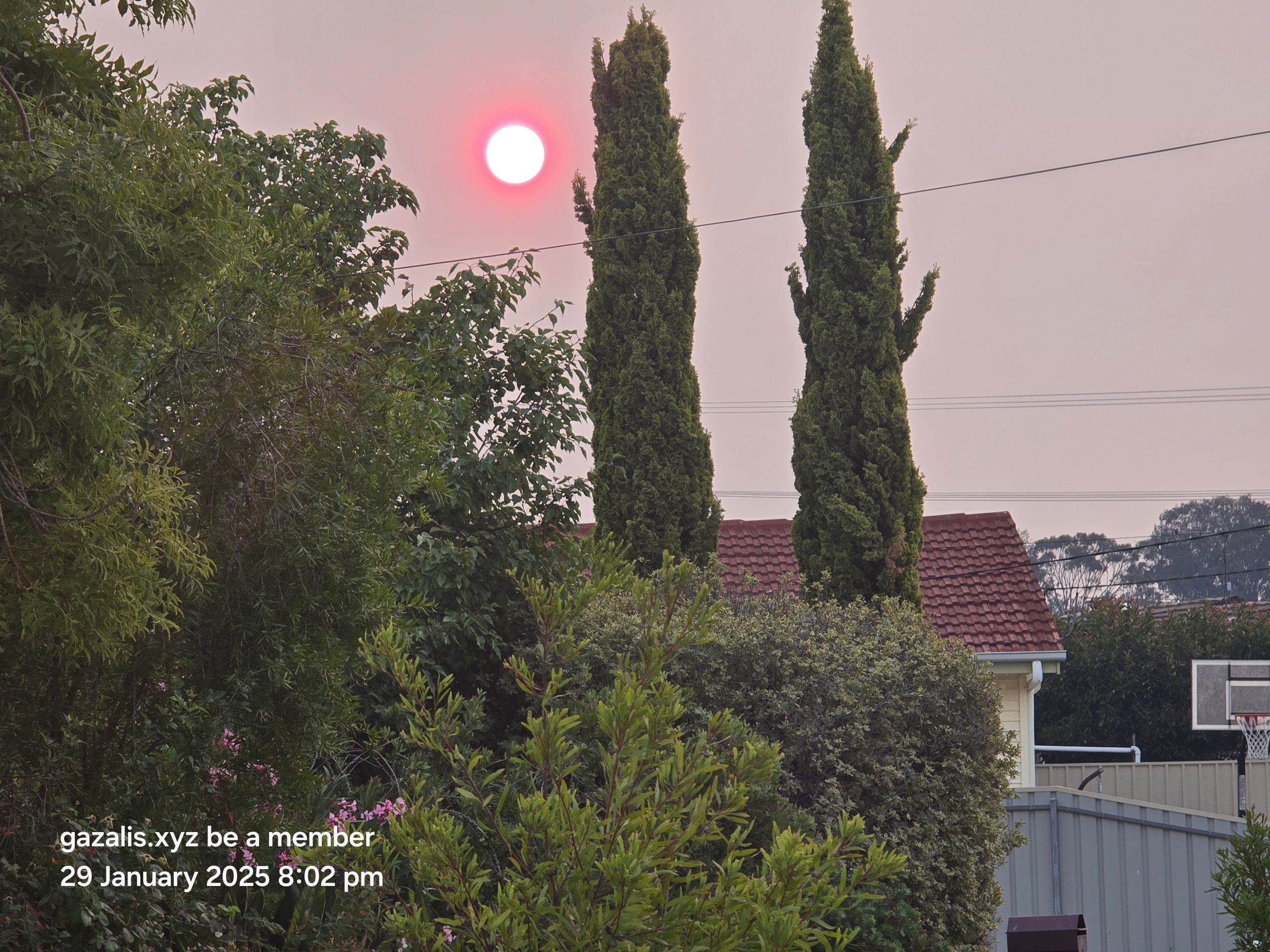 The red Sun