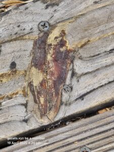 Jesus Christ or Lucifer