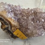 Amethyst Geode with Price Tag Amethyst geode with purple crystals, $5.00 tag, website, and date text visible.