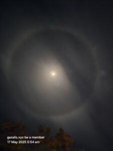 The P 1 of the network for the moon