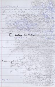 Lined notebook page filled with dense, chaotic handwritten notes and colorful ink scribbles.