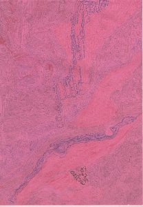 Abstract intricate drawing with detailed patterns and handwritten notes on pink paper.